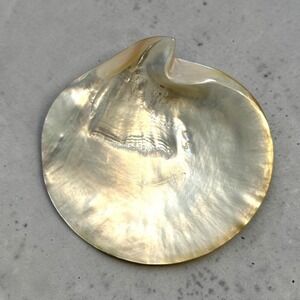 Vintage Mother of Pearl Serving Plate Polished Oyster Shell One 9" Dish